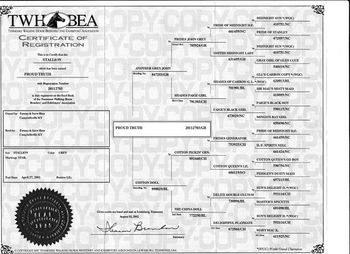 This is our grey stallion's pedigree. His barn name is Blue.
