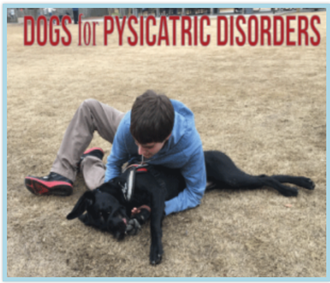 Psychiatric Disorder Dog