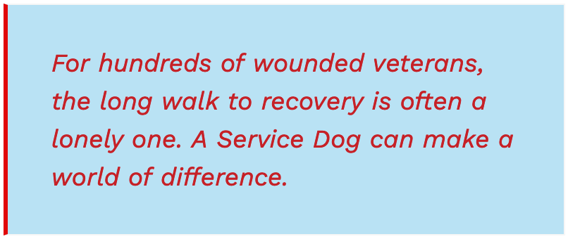 Wounded Veteran Statement