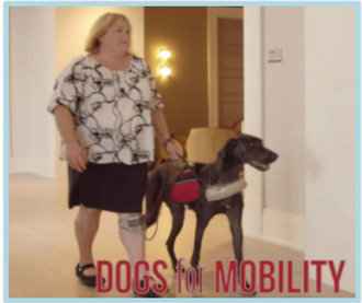 Dogs for Mobility