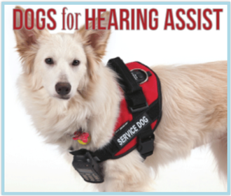 Hearing Assist Dog