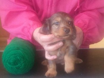 I am the only little boy. What a wonderful face this little guy has!!
