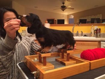 Stack picture of Fluff red boy available to the right show home
