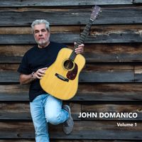 Volume 1 by John Domanico