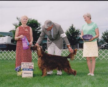 Paddie received a 5 point speciality major at the 2009 Greely Show. She was shown by Paul Holmes to perfection as usual.
