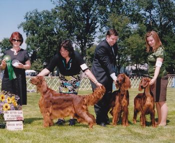 Mattie with her puppies Sully and Lucy winning Brood Bitch at the Greely Irish Setter Specialty August 2011
