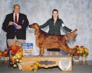 Paddie became a new champion at 2009 Rapid City Show. Shea Jonsrud did a lovely job of showing Paddie. What a team they were!
