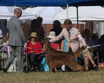 2012 National Irish Setter Specialty
