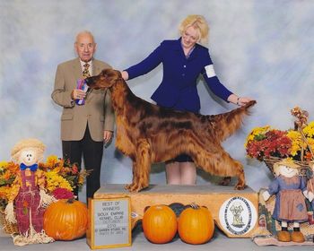 Best of Winners at the Sioux Fall Show

