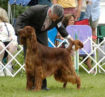 Shown at the 2010 Nationals by Loran Morgan
