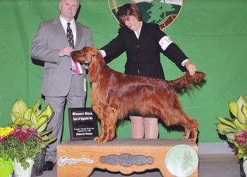 Paddie receiving her 1st points at the 2008 Evergreen Show. She was shown by Diana Wilson.
