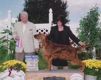 Paddie taking BOS at the 2008 Grand Junction Show.
