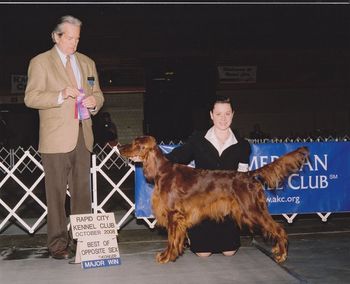 Mattie received her 1st major at the Rapid City Show October 2008. She was handled by Shea Jonsrud.

