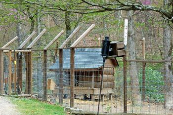 another option is to use 1 cattle panel bottom and hogring field fence to it as a top. This requires lean ins to be constructed.
