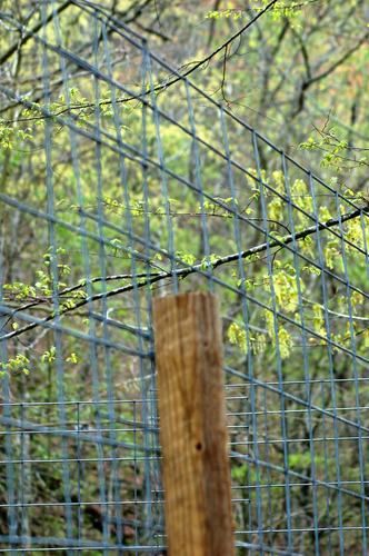 tops of fence will be above the posts to make it wabble at the top.
