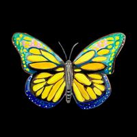 Papillon Wallpaper