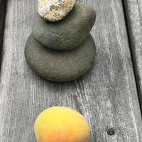 COVID and the Musician-15 Ideas for Creativity and Resilience
