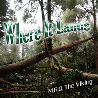 WHERE IT LANDS by M.R.O. The Viking