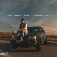 The Way That I Want You by Roy Lucian Baza