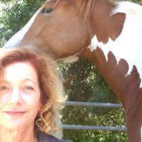 Benefit for The Healing Equine Ranch featuring Kiki Ebsen