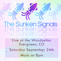 The Sunken Signals at The Woodcellar