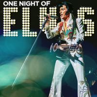 One Night Of Elvis