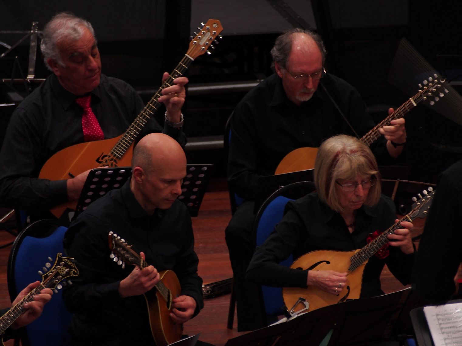 The Bristol Mandolin and Guitar Ensemble