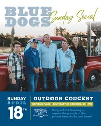 Sunday Social with The Blue Dogs