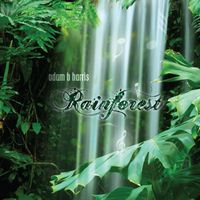 Rainforest MP3 Downloads ONLY by Adam B Harris