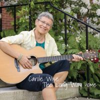 The Long Way Home by Carole Wise