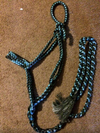 Mule Tape Halter and Lead - colored 