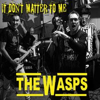 "It Don't Matter To Me" - single, Vespa Records by The Wasps