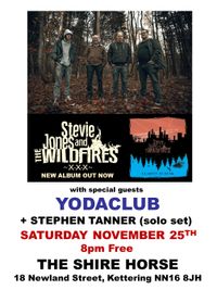 Stevie Jones and The Wildfires + Yodaclub + Stephen Tanner