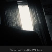 Morningless Live by Stevie Jones and The Wildfires