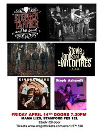 Stephen Tanner Band + Stevie Jones and The Wildfires+ Kings & Bears + Steph Ashcroft