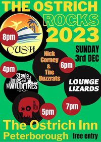 Stevie Jones and The Wildfires at Ostrich Rocks