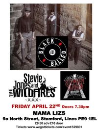 Stevie Jones and The Wildfires supporting Blackballed + Stephen Tanner and The Runaways