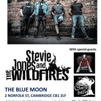 Blue Moon Cambridge 01-10-21 Bootleg by Stevie Jones and The Wildfires 