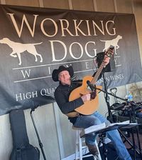 Working Dog Winery Presents Ronnie Brandt Solo Acoustic