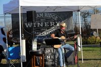 Ronnie Brandt solo Acoustic at Cream Ridge Winery