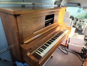 1922 Pioneer Player in walnut, matching bench and 5 huge boxes of music rolls. 2800.00 delivered, tuned.
