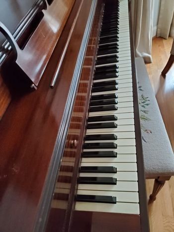 1955 Estey spinet with embroidered bench. One former owner and very well taken care of. 800.00 pre-tuned and delivered ground floor within 50 miles of Nashville TN 37206
