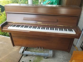 1978 Yamaha M-1 studio, recent action work and service, sounds good, rare walnut cabinet. with bench. 1800.00 delivered, tuned, warranty
