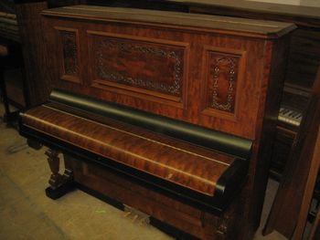 1895 Fischer cabinet grand, Refinished in our signature colors, burl walnut and satin ebony with solid walnut legs.
