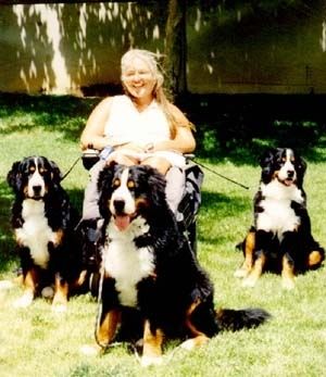 Pres Candy Roper & Friends - Bernese Mountain Dog
