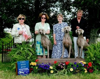 Lisl winning Best Brood Bitch with Cassie and Arran at the 2007 Weim National.
