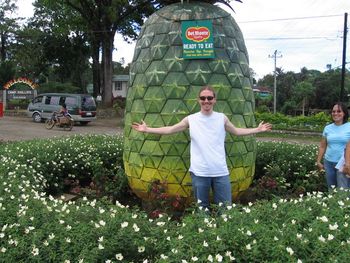 Del Monte Pineapple Plantation
