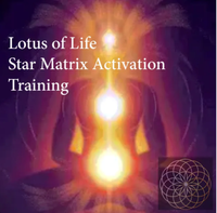 Lotus of Life: Star Matrix Activation Training