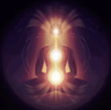 Lotus of Life Star Matrix Activation Training - BALANCE DUE