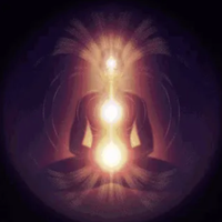 Lotus of Life Star Matrix Activation Training - DEPOSIT